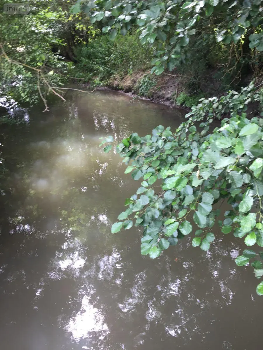 Terrains de loisirs bois etangs a vendre Villeloin-Coulangé 37460 Indre-et-Loire 37 11200 euros 1045405 001