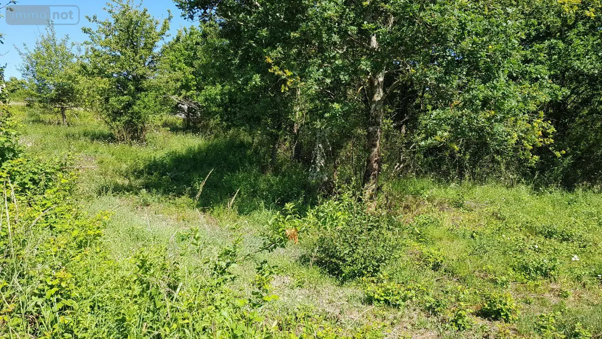 Terrain a batir a vendre Saint-Loup 41320 Loir-et-Cher 41 48300 euros 41036/2501 001