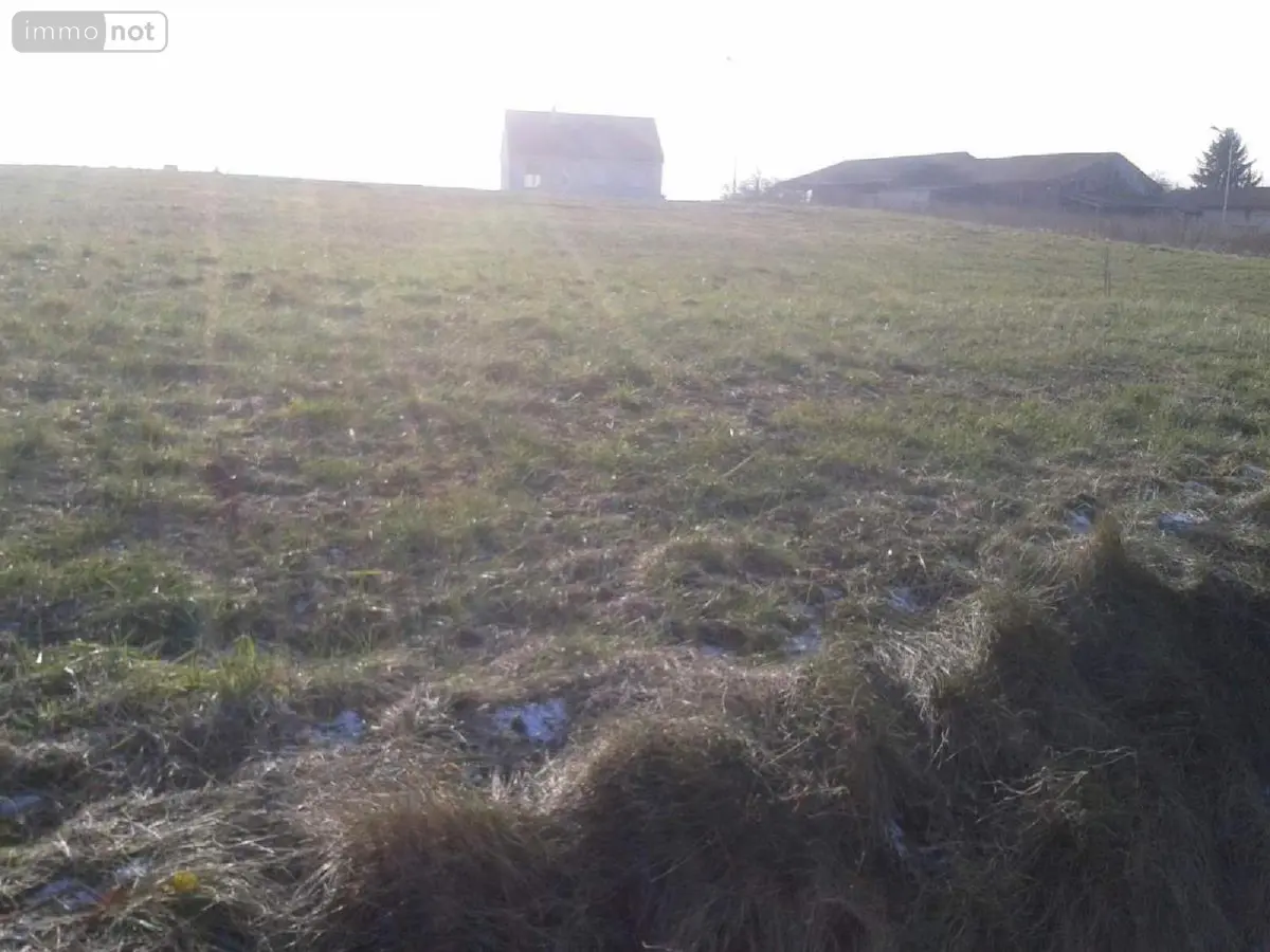 Terrain a batir a vendre Germinon 51130 Marne 51 62475 euros 51029-360 001