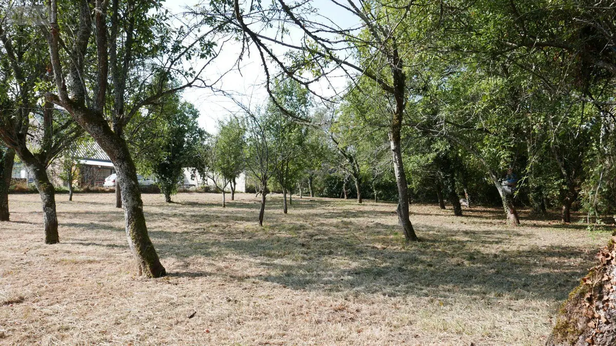 Terrain a batir a vendre Sery 08270 Ardennes 08 26000 euros 08018-TEBA-2013 001