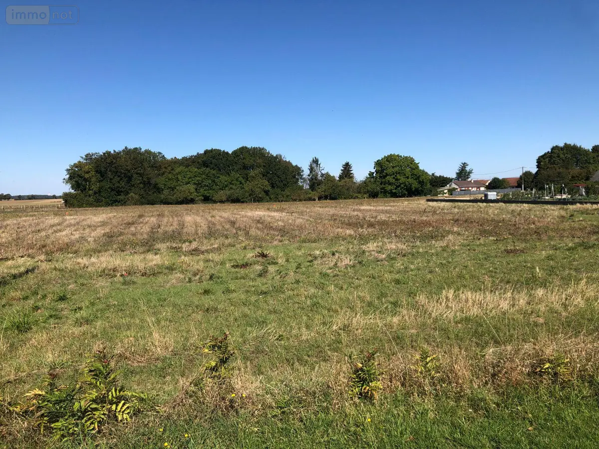 Terrain a batir a vendre Montierchaume 36130 Indre 36 43000 euros 11813/1146 001