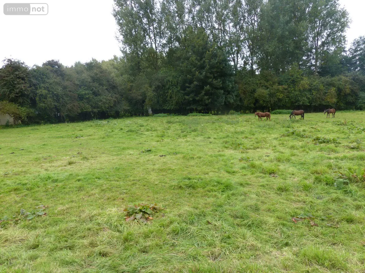 Terrain a batir a vendre Anvin 62134 Pas-de-Calais 62 544 m2 37520 euros 2191 001