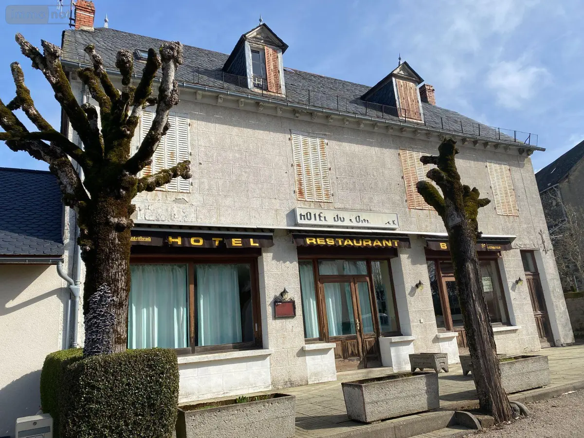 Maison a vendre Anglards-de-Salers 15380 Cantal 15 295 m2 106000 euros 15060/1061 001