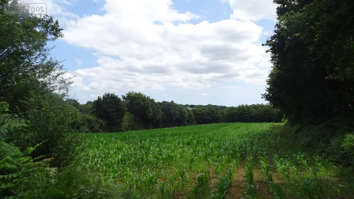 Terrain a batir a vendre Landivisiau 29400 Finistère 29 81400 euros 3972 001