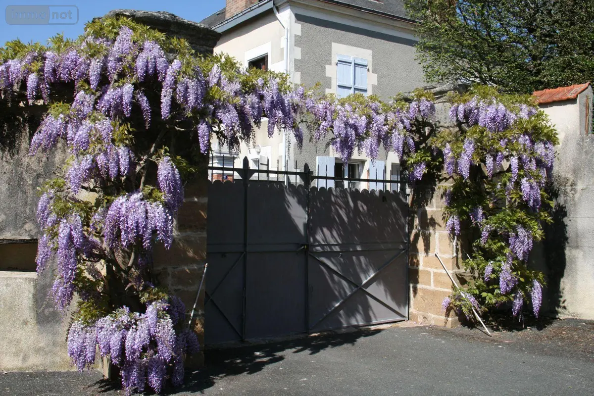 Maison a vendre Buzançais 36500 Indre 36 328 m2 10 pièces 234000 euros 1047175 001