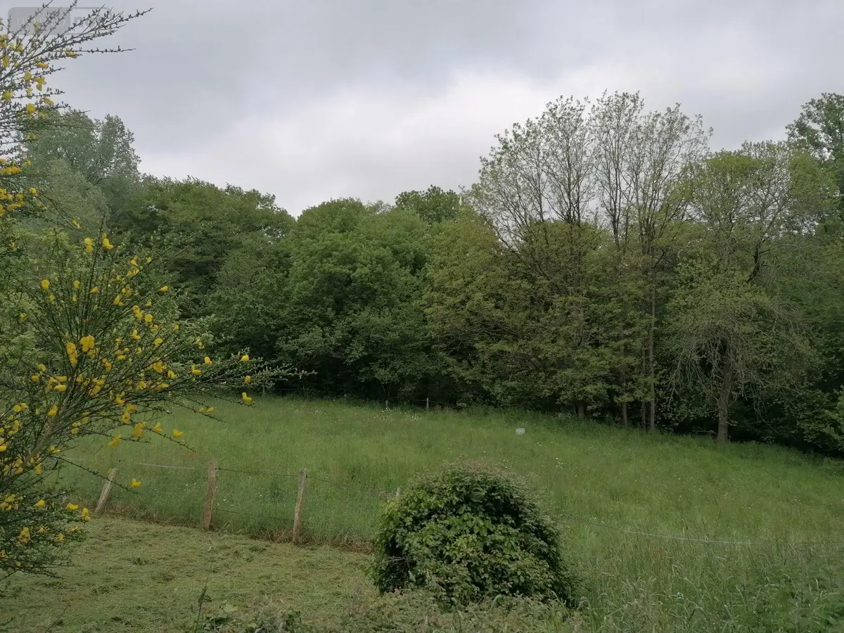 Terrain a batir a vendre Saint-Thurial 35310 Ille-et-Vilaine 35 2213 m2 56000 euros 35129-4427 001