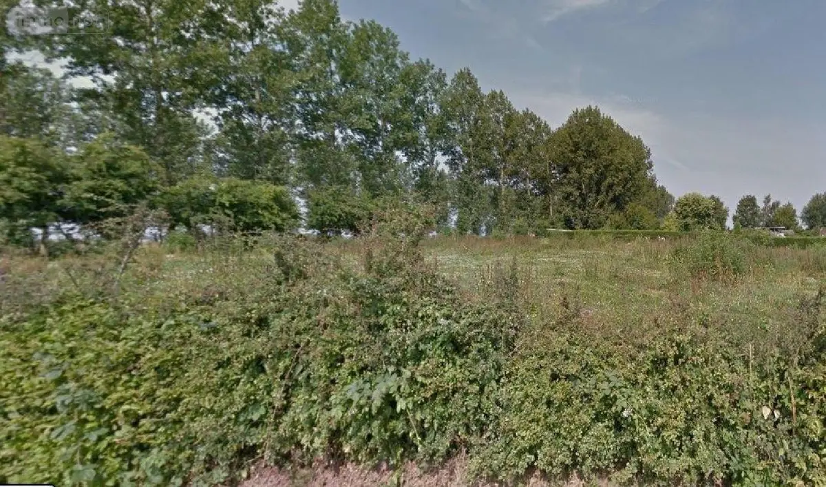 Terrain a batir a vendre Marquay 62127 Pas-de-Calais 62 900 m2 37520 euros 2235 001