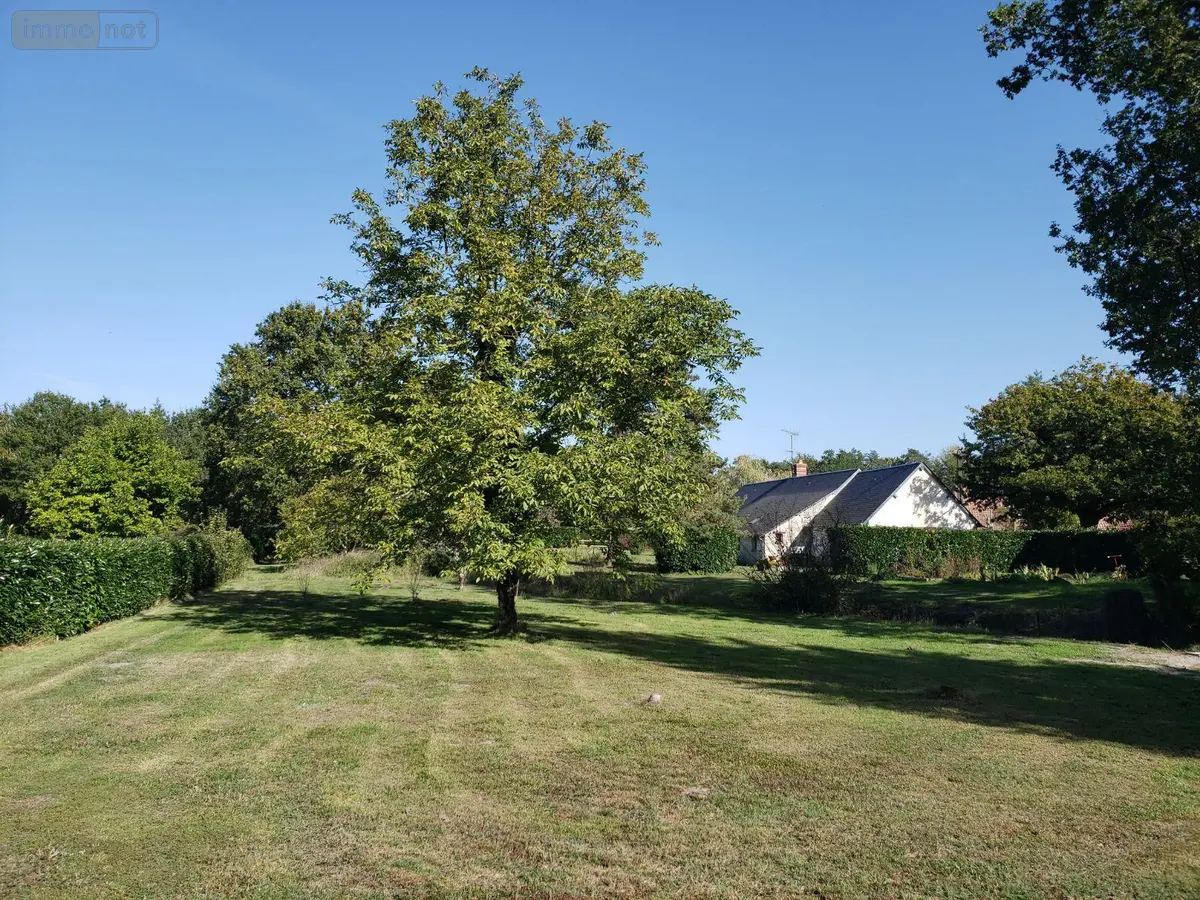 Terrain a batir a vendre Pruniers-en-Sologne 41200 Loir-et-Cher 41 970 m2 29300 euros 41036/2741 001
