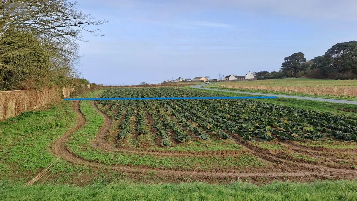 Terrain a batir a vendre Plougasnou 29630 Finistère 29 1050 m2 78000 euros MUTB 001