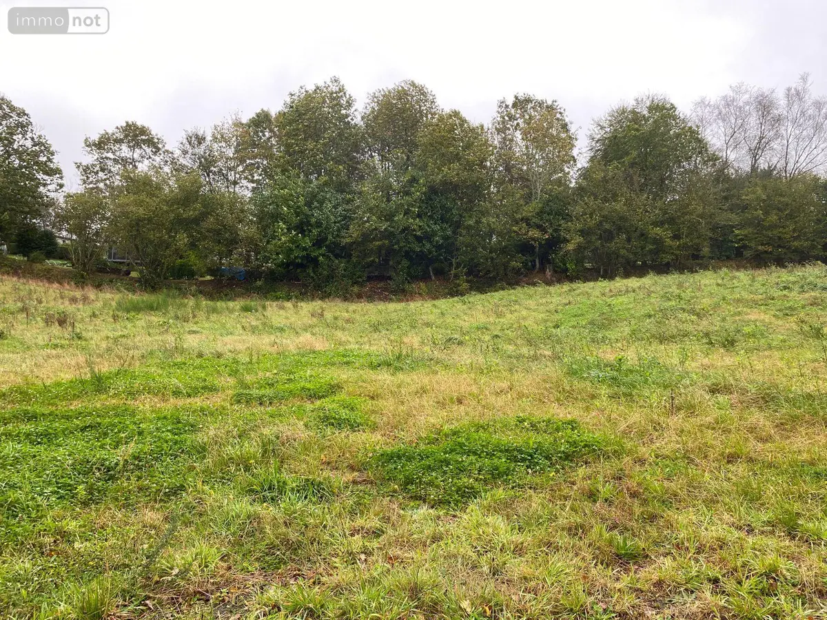 Terrain a batir a vendre Coray 29370 Finistère 29 938 m2 44742 euros 29122-TAB-174-A 001