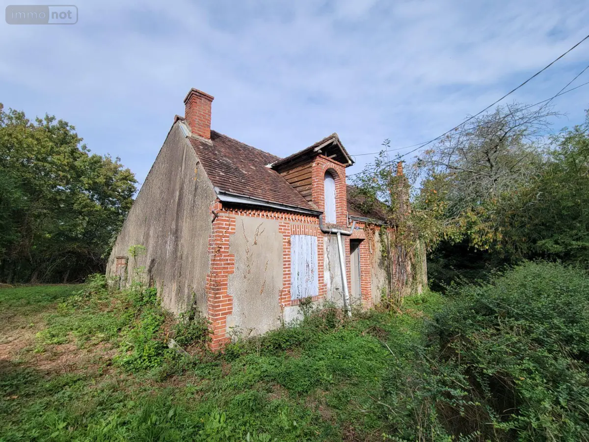 Maison a vendre Fontaine-Raoul 41270 Loir-et-Cher 41 70 m2 55000 euros JS/741 001