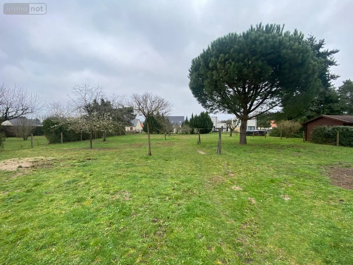 Terrain a batir a vendre Les Montils 41120 Loir-et-Cher 41 1161 m2 100432 euros 12101/1198 001