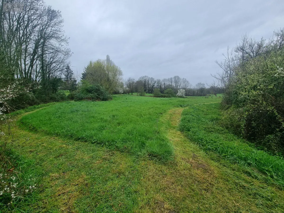 Terrain a batir a vendre Montipouret 36230 Indre 36 4010 m2 15990 euros CG/292 001