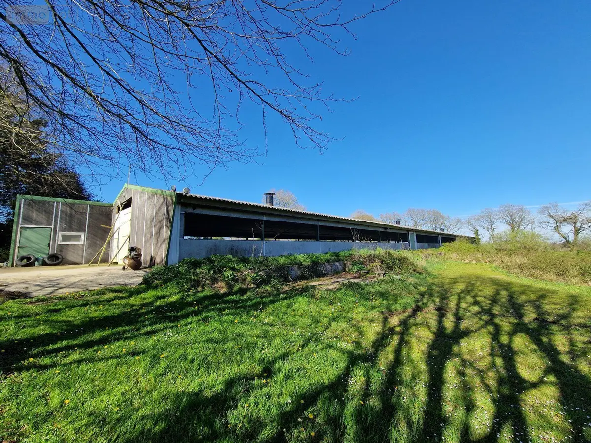 Bien agricole a vendre Plévin 22340 Côtes-d'Armor 22 53000 euros 22075-BAGR01552 001