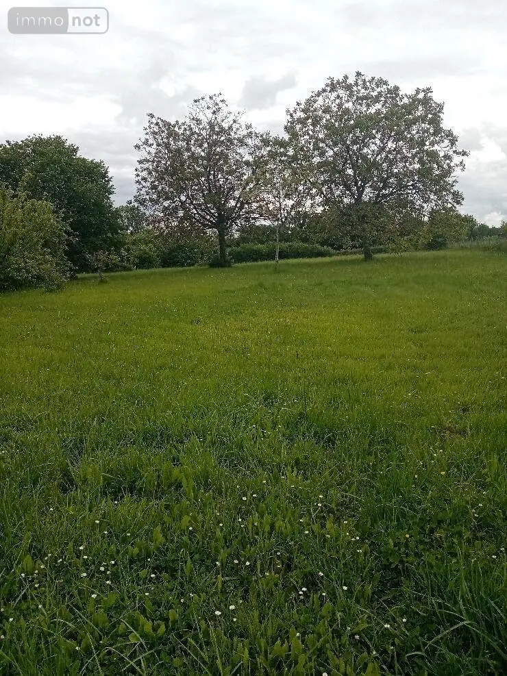 Terrain a batir a vendre Pellevoisin 36180 Indre 36 18000 euros 016/377 001