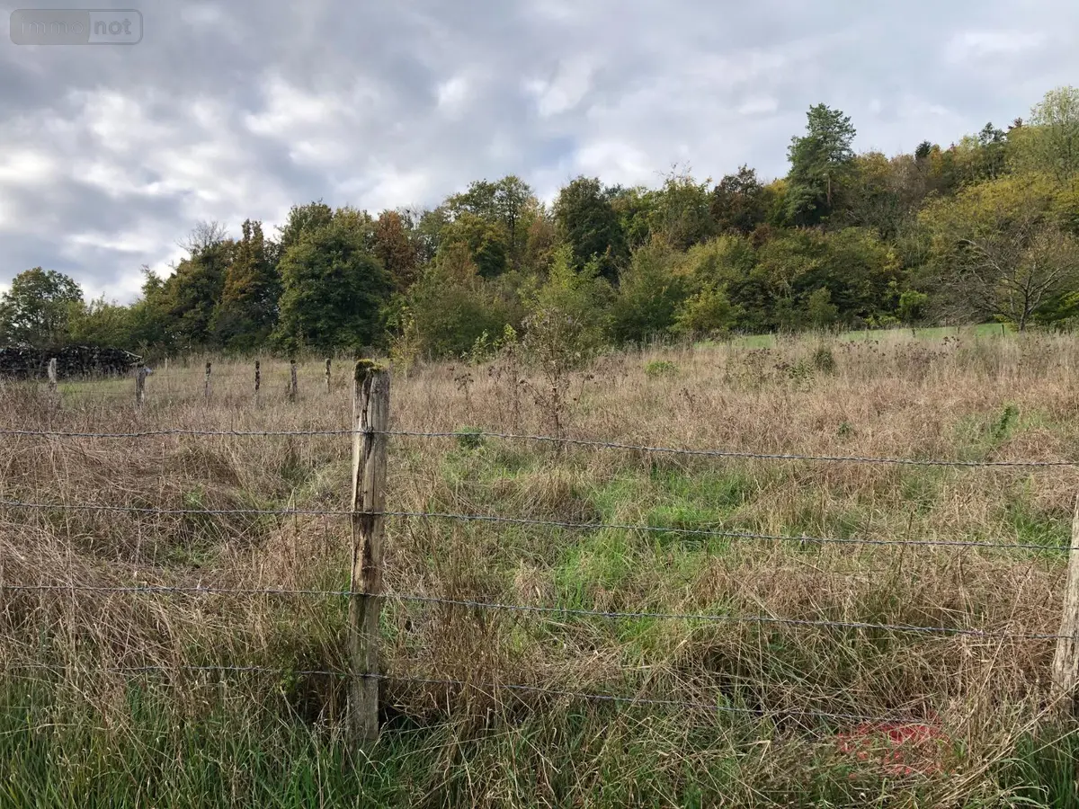 Terrain a batir a vendre Salmagne 55000 Meuse 55 14400 euros 816 001