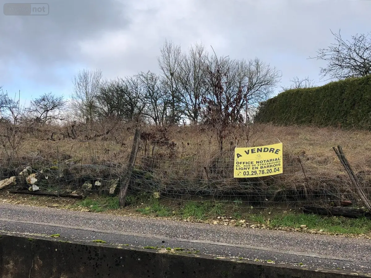 Terrain a batir a vendre Silmont 55000 Meuse 55 15000 euros 844 001