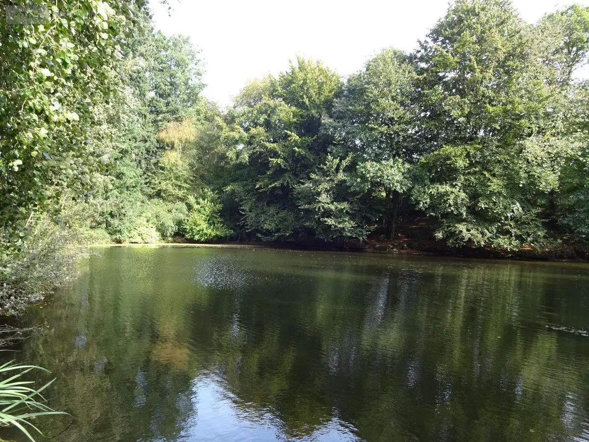 Terrains de loisirs bois etangs a vendre La Chapelle-Fleurigné 35133 Ille-et-Vilaine 35 62140 euros 036/731 001