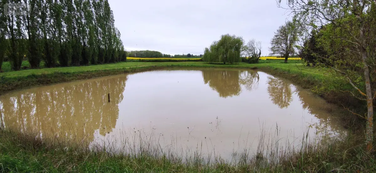 Terrains de loisirs bois etangs a vendre Genouilly 18310 Cher 18 14800 euros 142495G 001