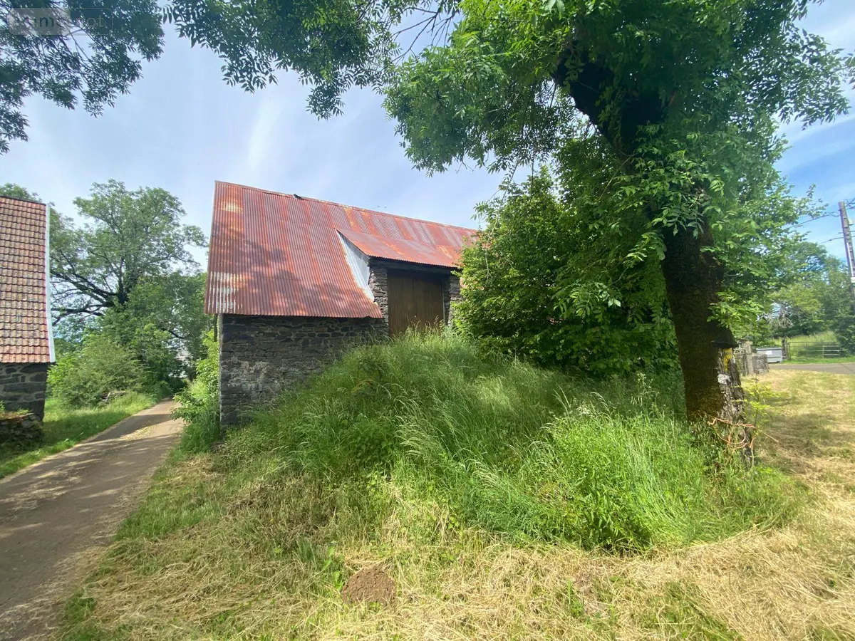 Maison a vendre Le Vigean 15200 Cantal 15 200 m2 26500 euros 15060/1152 001