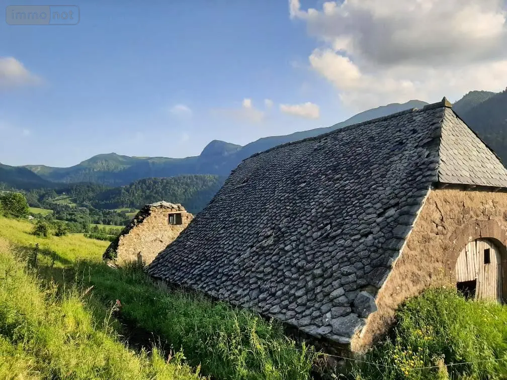 Maison a vendre Le Falgoux 15380 Cantal 15 400 m2 63600 euros 15060/1153 001