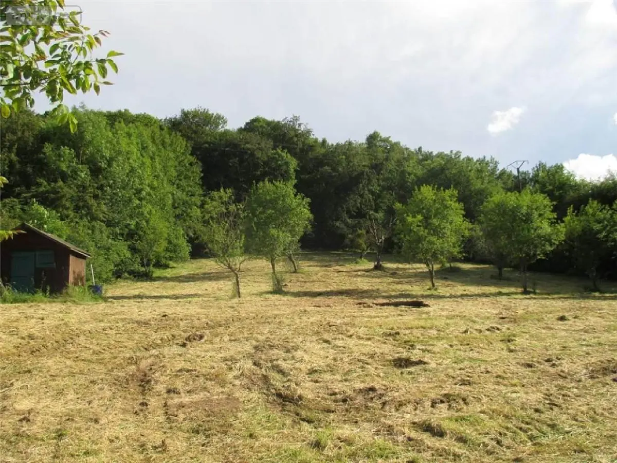 Terrain a batir a vendre Thivet 52800 Haute-Marne 52 40000 euros 020/985 001