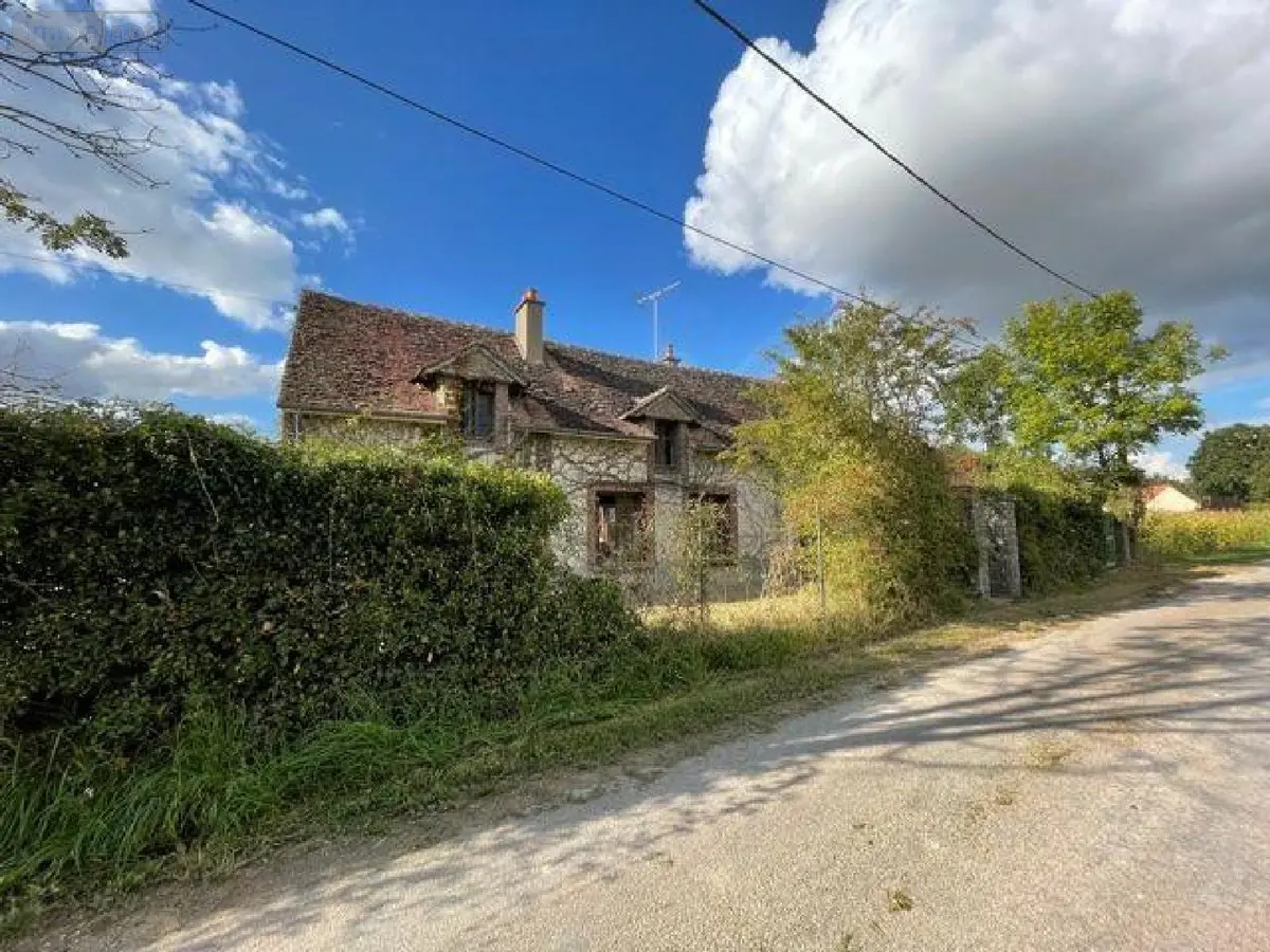 Maison a vendre Bléneau 89220 Yonne 89 82 m2 4 pièces 85000 euros 60092/327 001