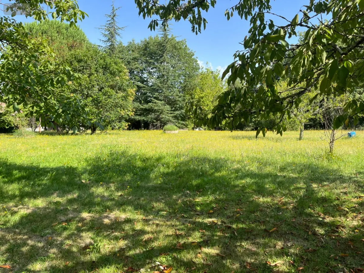 Terrain a batir a vendre Saint-Ciers-d'Abzac 33910 Gironde 33 59000 euros 118/1543 001