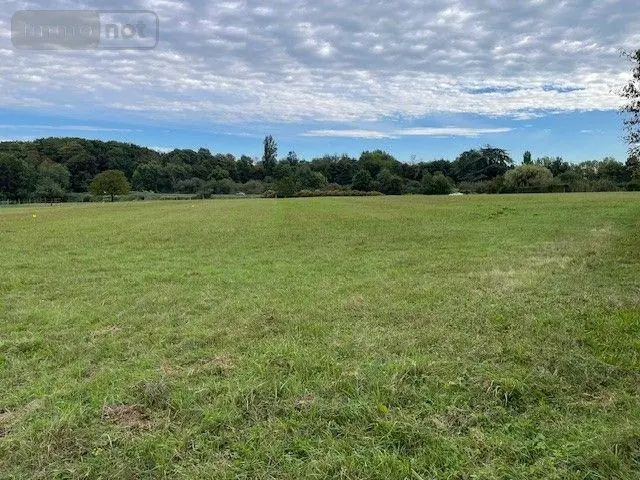 Terrain a batir a vendre Cour-Cheverny 41700 Loir-et-Cher 41 550 m2 49000 euros 001/2117 001