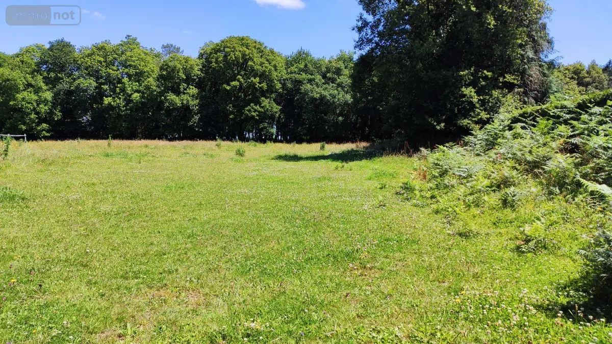 Terrain a batir a vendre Bieuzy 56310 Morbihan 56 28000 euros 065/1797 001