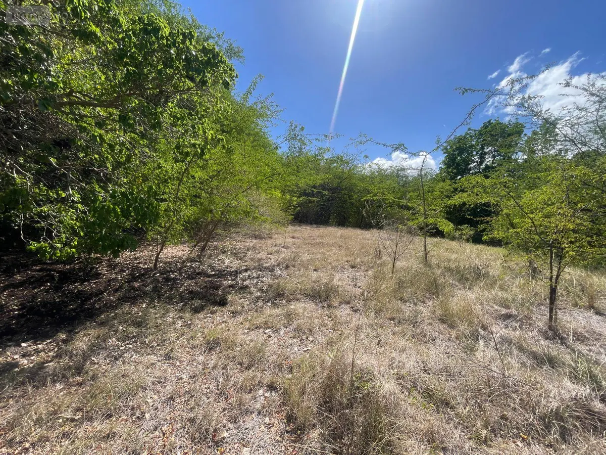 Terrain a batir a vendre Le Gosier 97190 Guadeloupe 971 239000 euros 97110/13 001