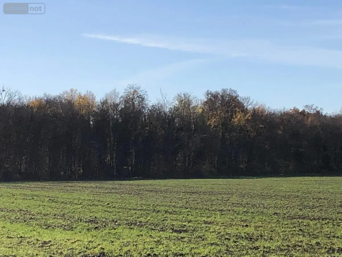 Terrains de loisirs bois etangs a vendre Farges-lès-Chalon 71150 Saône-et-Loire 71 22500 euros 13783/526 001
