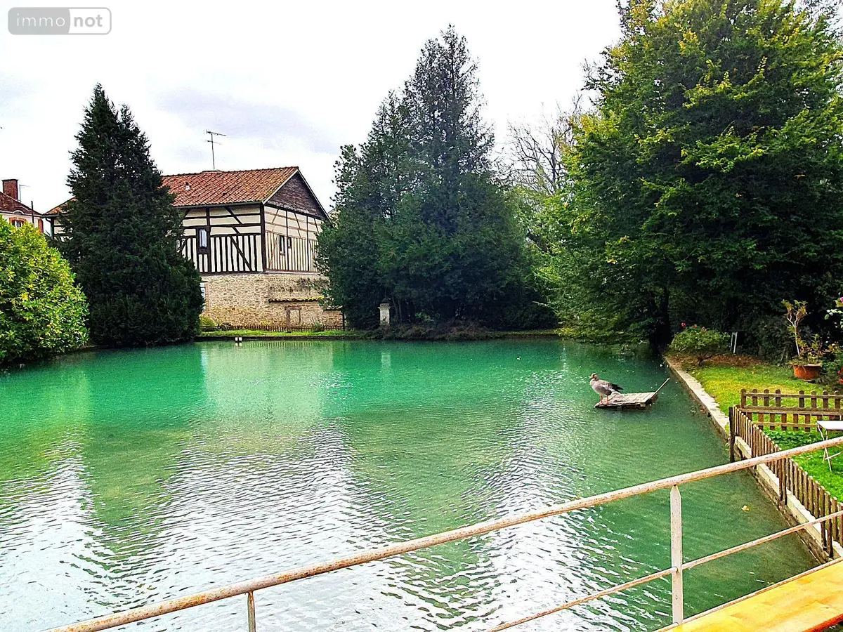 Maison a vendre Soulaines-Dhuys 10200 Aube 10 265 m2 299000 euros 51081/838 001