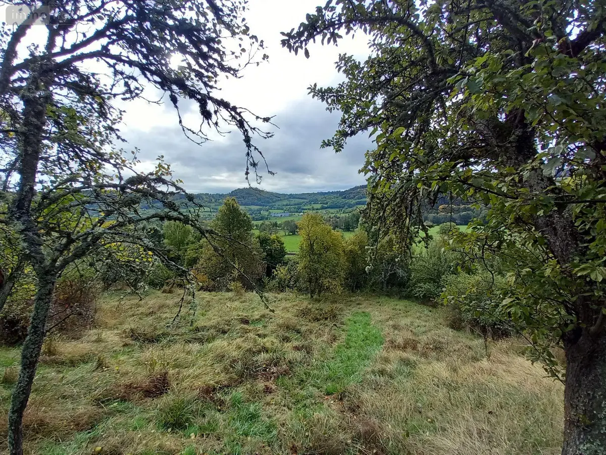Terrain a batir a vendre Murat 15300 Cantal 15 16000 euros FG/2232 001