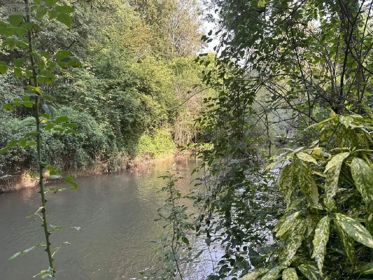 Terrains de loisirs bois etangs a vendre Vernou-sur-Brenne 37210 Indre-et-Loire 37 18900 euros 2024/1992 001