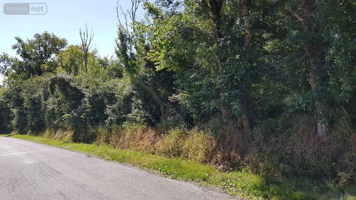 Terrain a batir a vendre Saint-Loup 41320 Loir-et-Cher 41 1260 m2 18780 euros 41036/2953 001