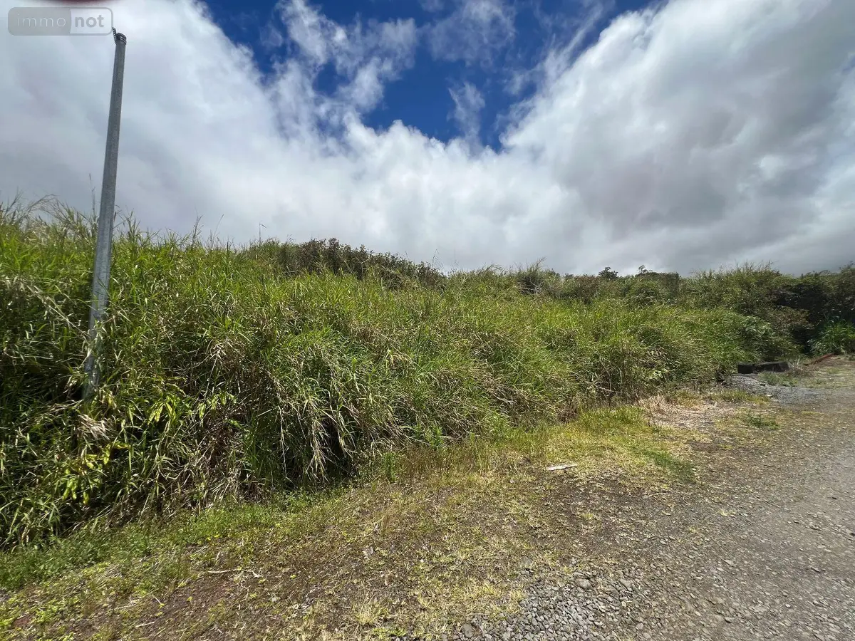 Terrain a batir a vendre La Plaine-des-Palmistes 97431 La Réunion 974 233600 euros 97405/96 001
