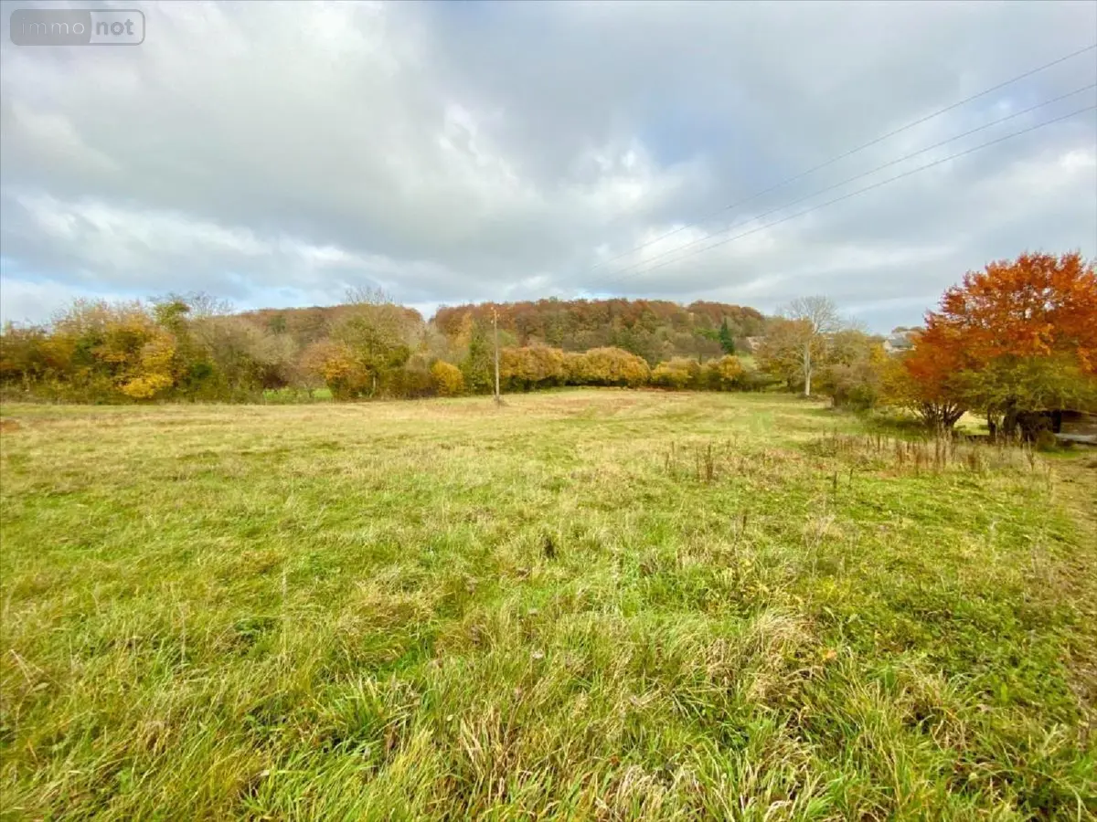 Terrain a batir a vendre Alençon 61000 Orne 61 59900 euros 61001-935437 001