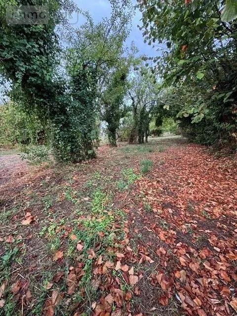 Terrain a batir a vendre Lignières 18160 Cher 18 16000 euros 18022/775 001