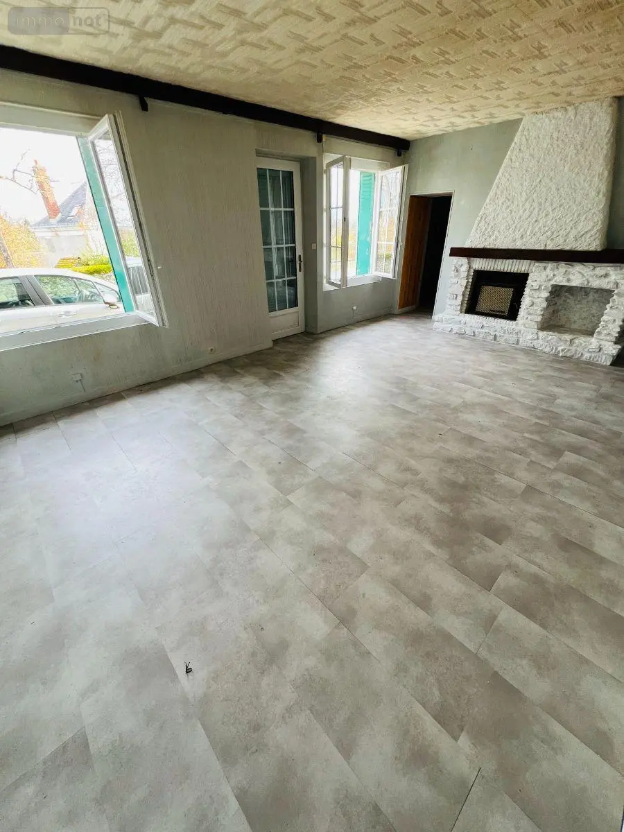Maison a vendre Châtillon-sur-Indre 36700 Indre 36 150 m2 8 pièces 76000 euros 016/402 001