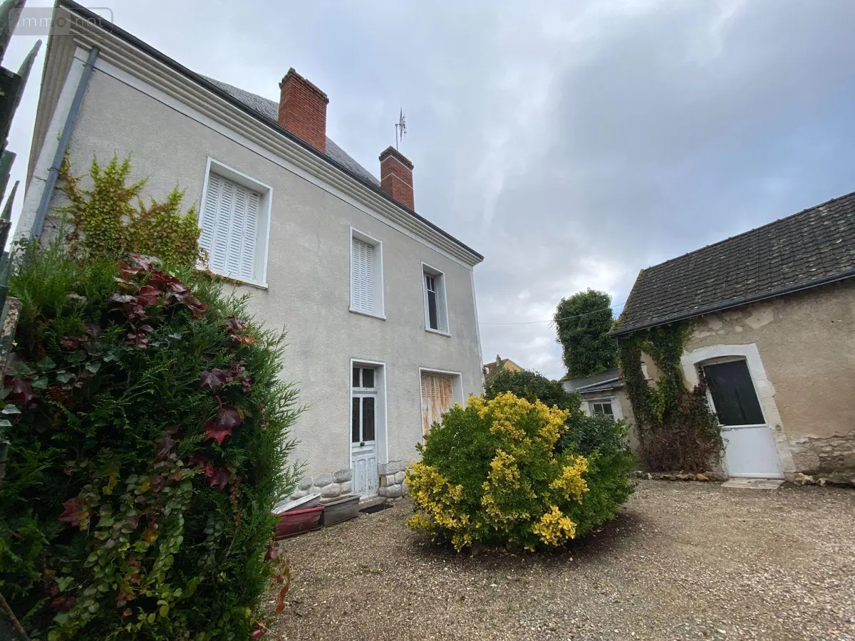 Maison a vendre Mézières-en-Brenne 36290 Indre 36 190 m2 8 pièces 79900 euros 1047877 001