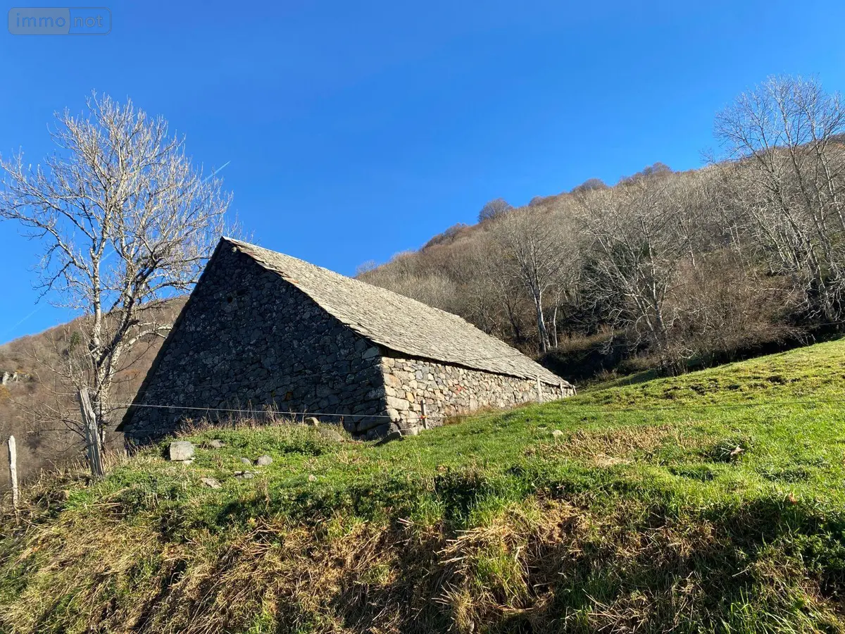 Maison a vendre Le Vaulmier 15380 Cantal 15 300 m2 84800 euros 15060/1188 001