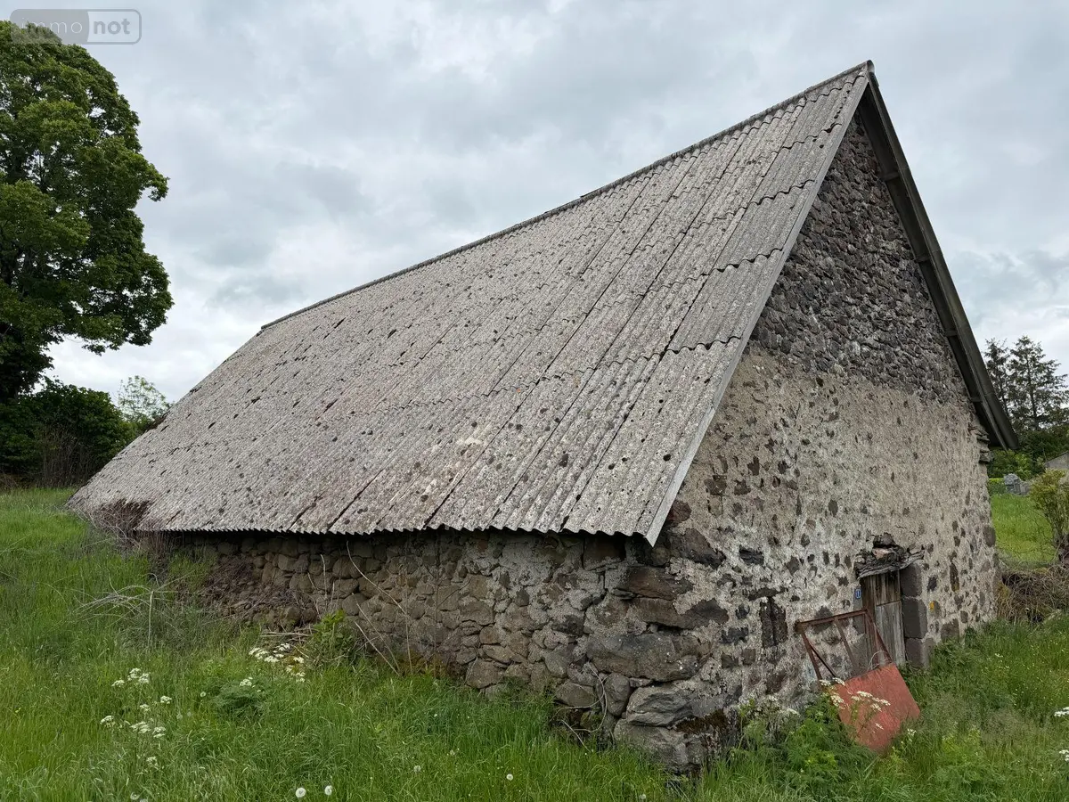 Maison a vendre Moussages 15380 Cantal 15 400 m2 21500 euros 15060/1190 001