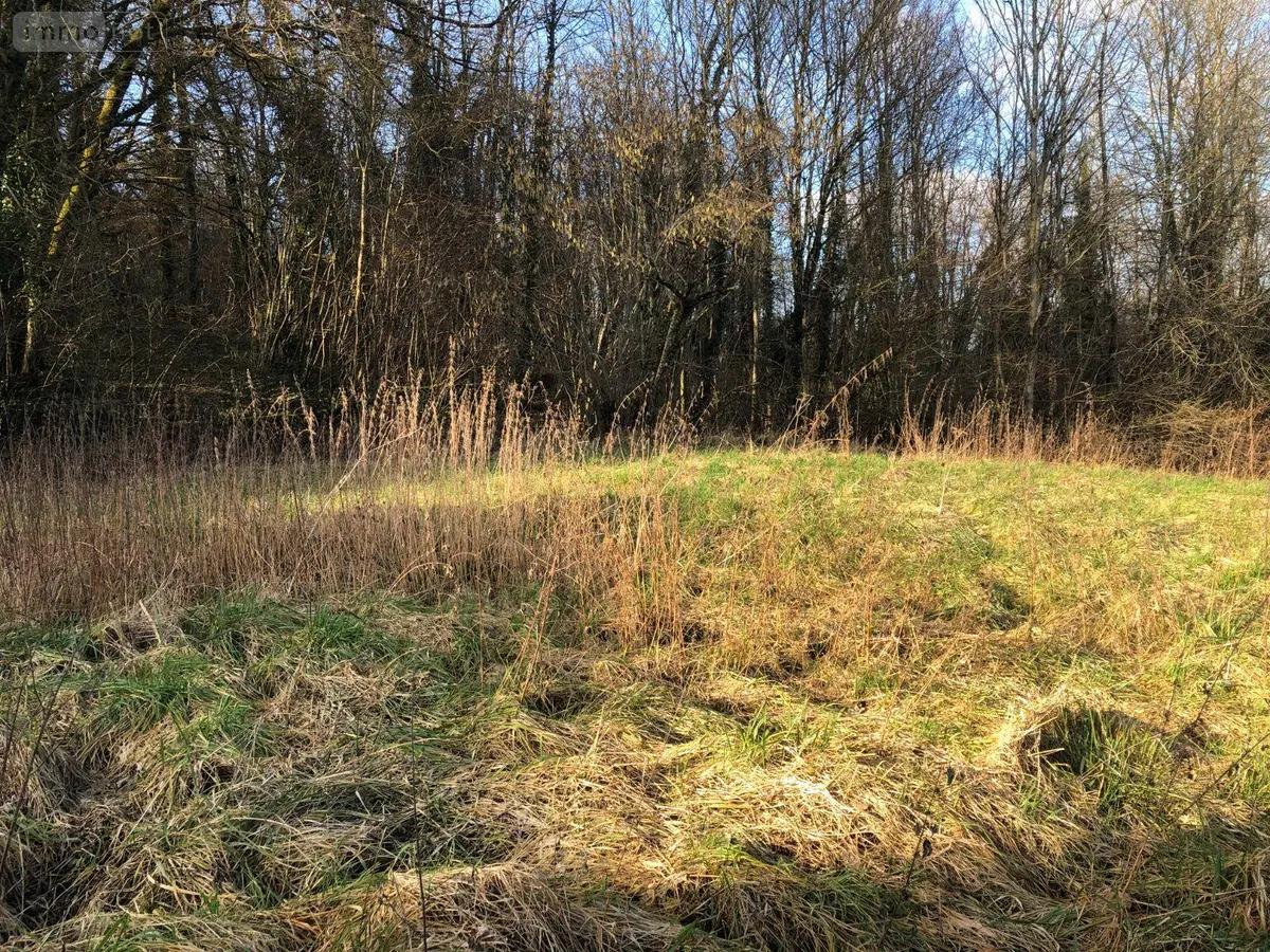 Terrain a batir a vendre Fains-Véel 55000 Meuse 55 1028 m2 33600 euros 55008/33 001