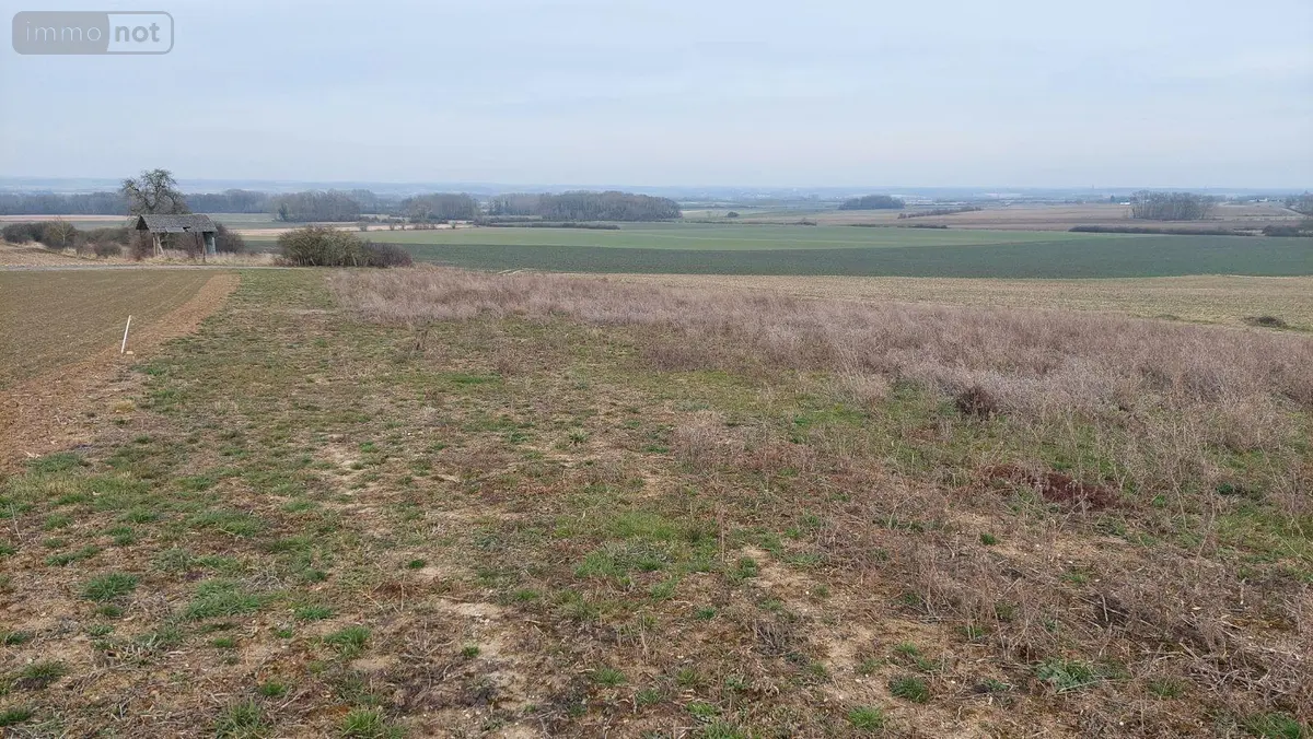 Terrain a batir a vendre Rethel 08300 Ardennes 08 54000 euros 10315/593 001