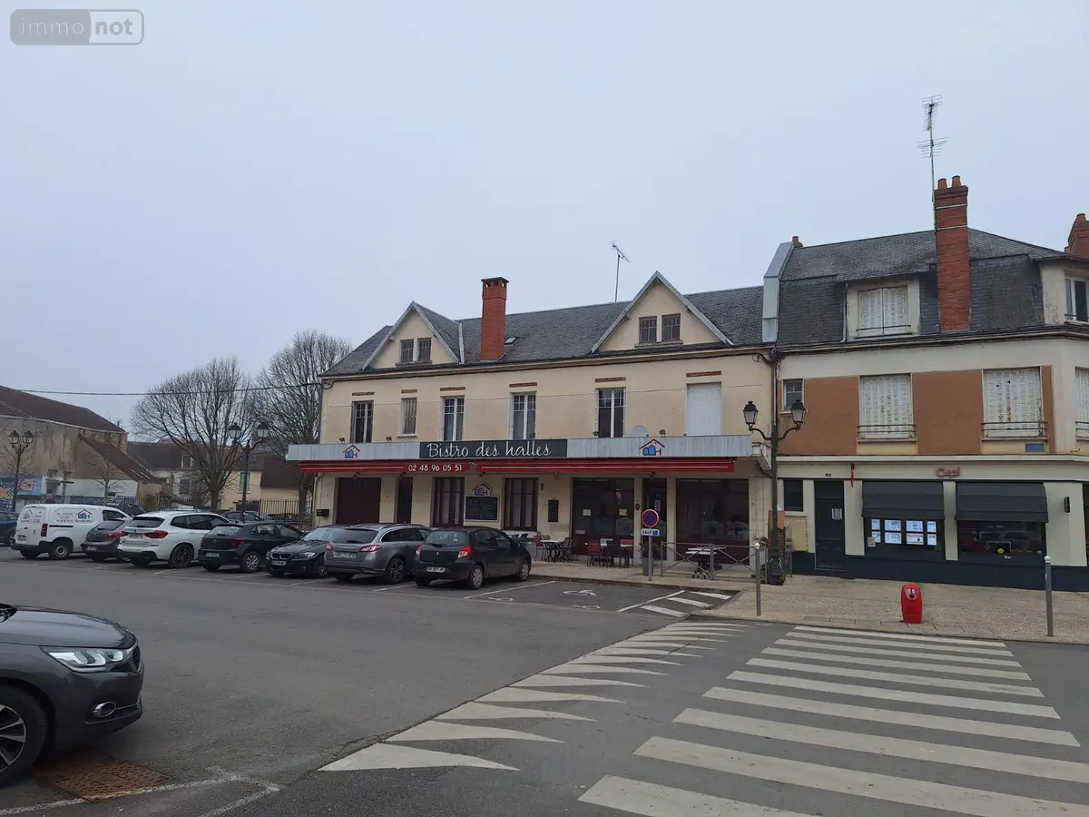 Immeuble de rapport a vendre Saint-Amand-Montrond 18200 Cher 18 267 m2 126000 euros 18016/1902 001