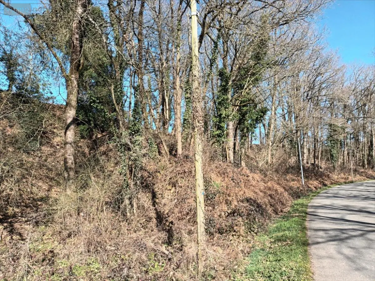 Terrains de loisirs bois etangs a vendre Saint-Fraimbault-de-Prières 53300 Mayenne 53 2500 euros 53075DLS23011 001