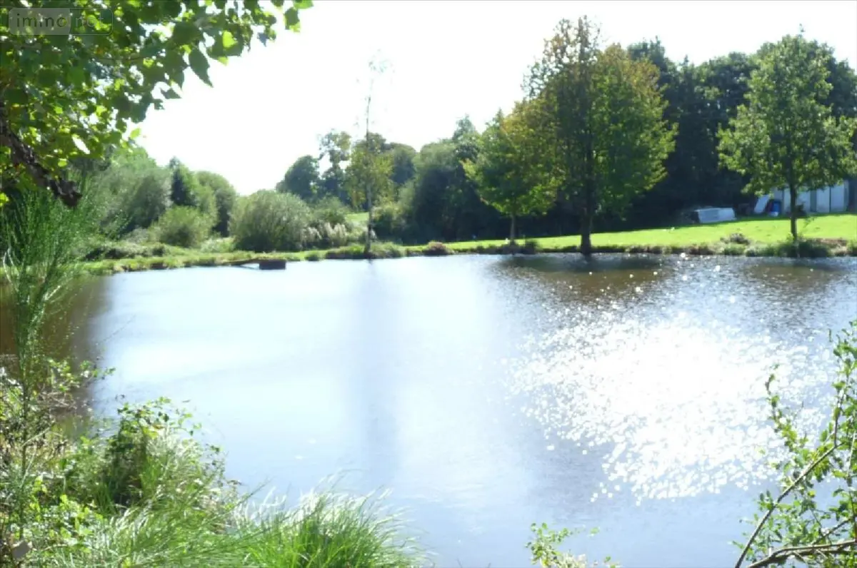Terrains de loisirs bois etangs a vendre Vautorte 53500 Mayenne 53 84000 euros 53075-DLS57 001