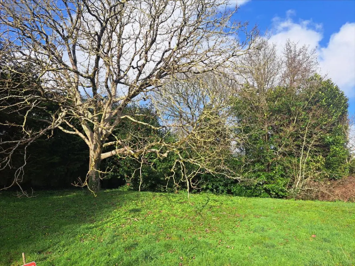 Terrain a batir a vendre Quimperlé 29300 Finistère 29 49773 euros 29114-1075452 001