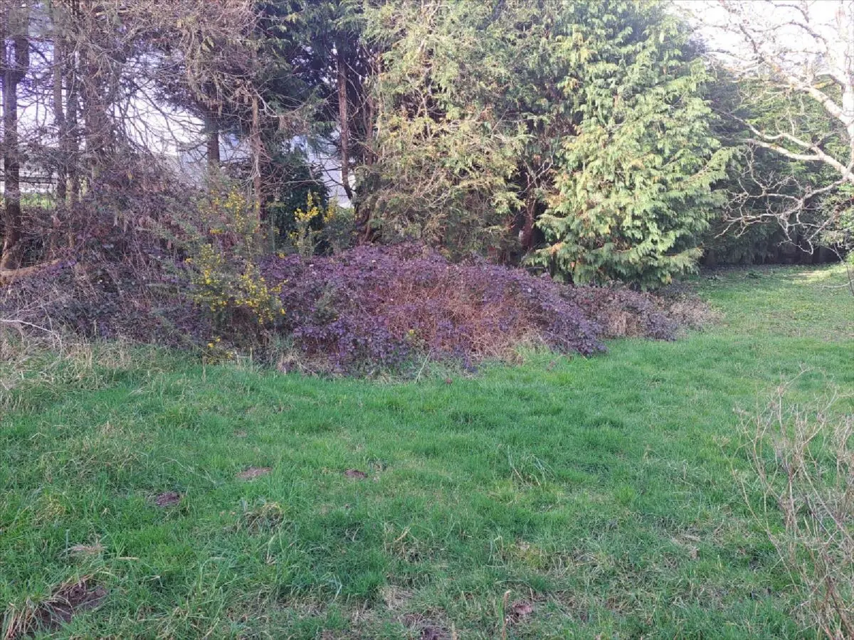 Terrain a batir a vendre Quimperlé 29300 Finistère 29 55068 euros 29114-1075453 001